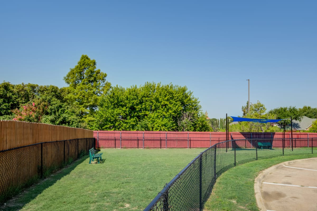 Photos and Video of Windsong in Dallas, TX